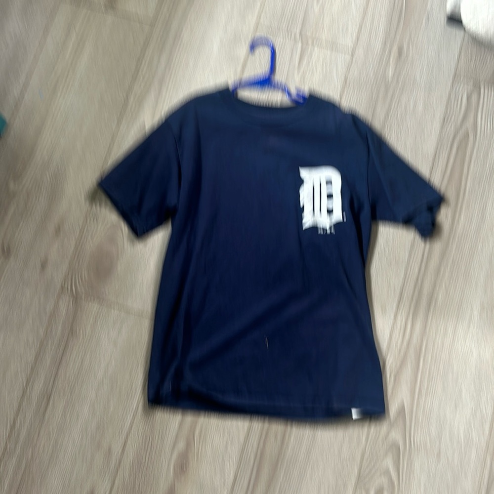 Detroit tigers